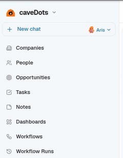 The caveDots workspace: its sidebar and dotted canvas